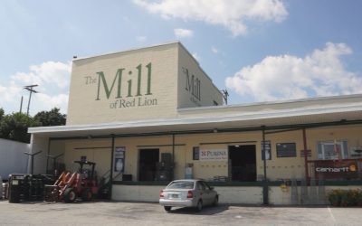 The Mill Red Lion