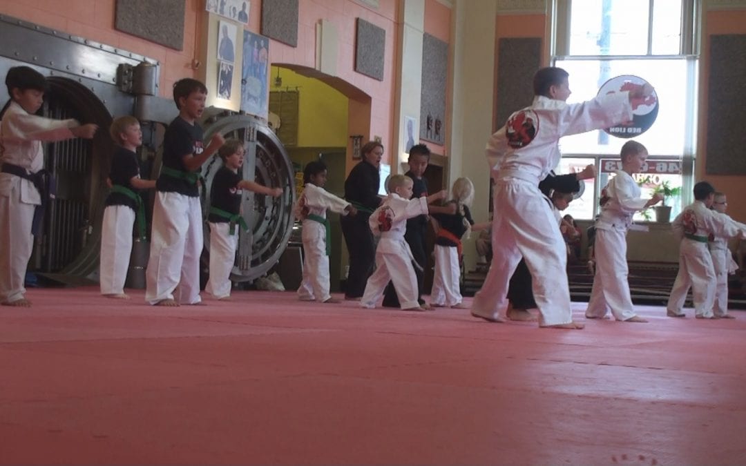 Red Lion Karate