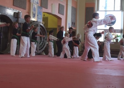 Red Lion Karate